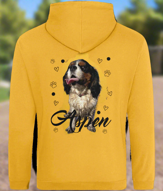 Aspen - Cavalier King Chales Spaniel - kapucar